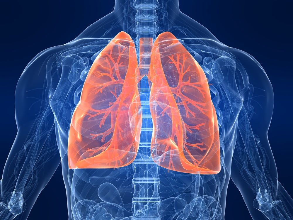 диаграма на белите дробове