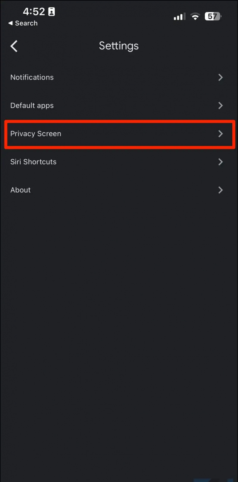   Abilita Schermata Privacy su Drive iOS